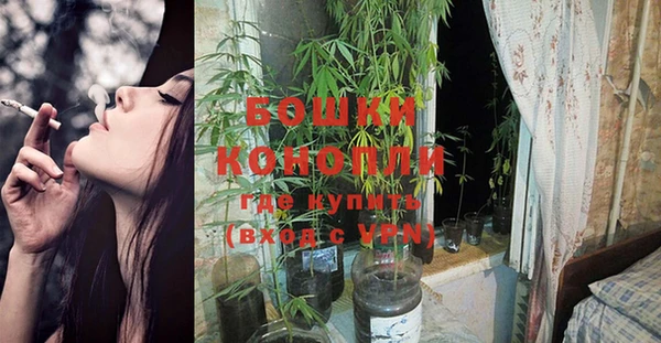 кокс Касимов