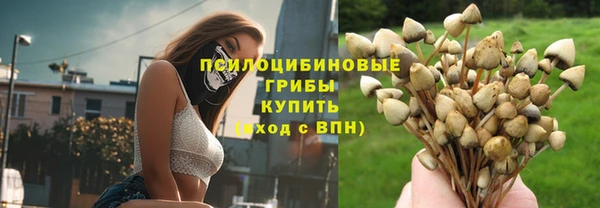кокс Касимов