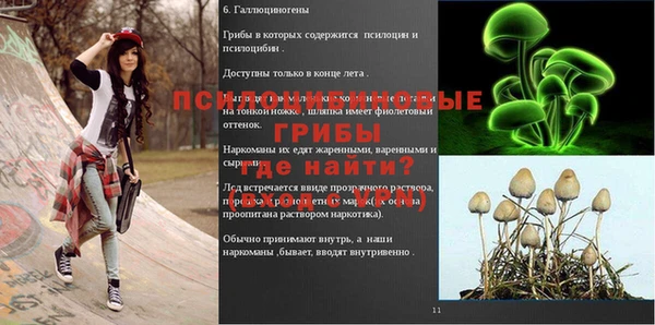 кокс Касимов