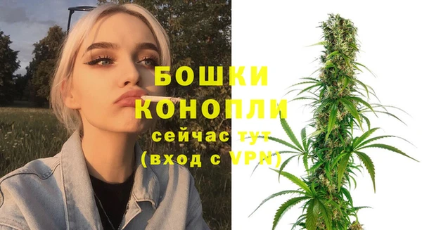 кокс Касимов