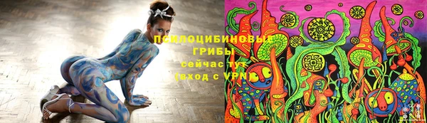 кокс Касимов